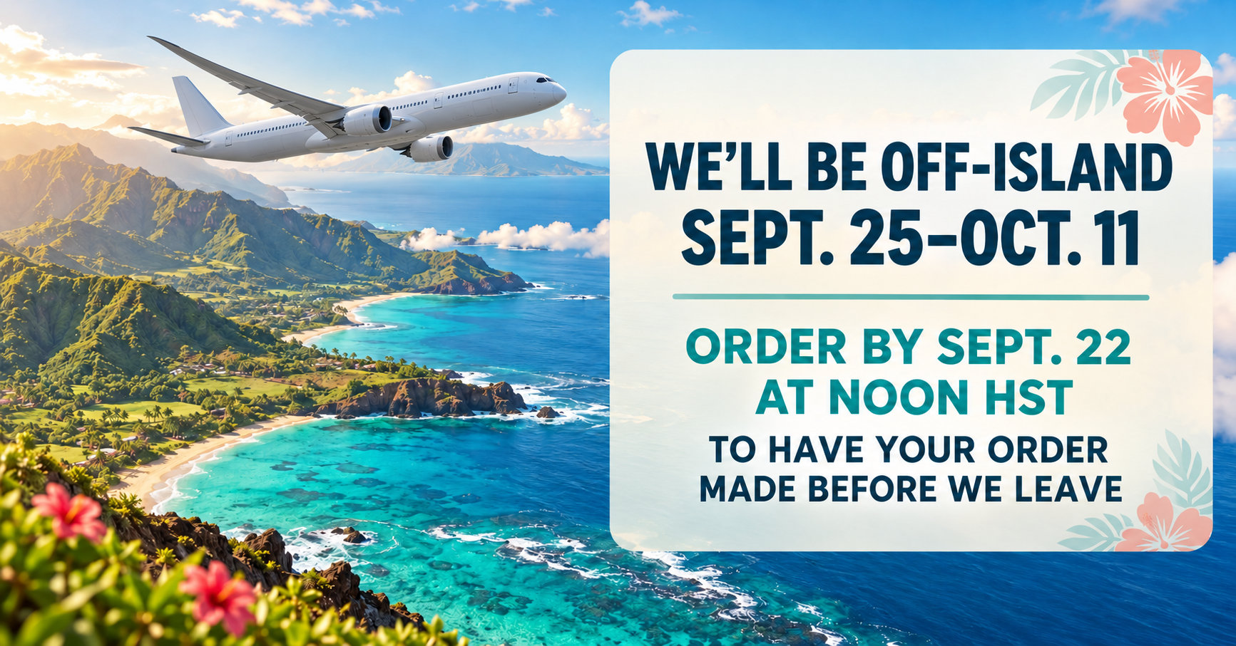 Off-Island notification for Rinn Stitches, airplane flying over the islands with text
